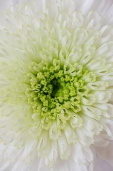 Bloom's Taxonomy limitations