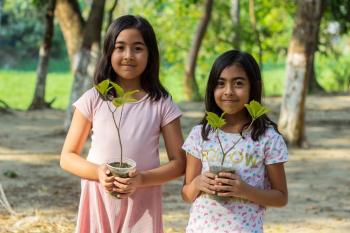 Future education options