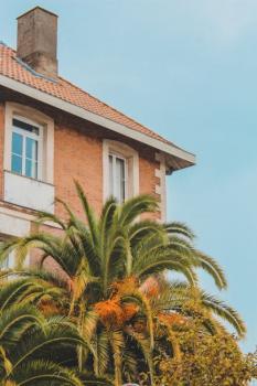 Texas Capitol Building
